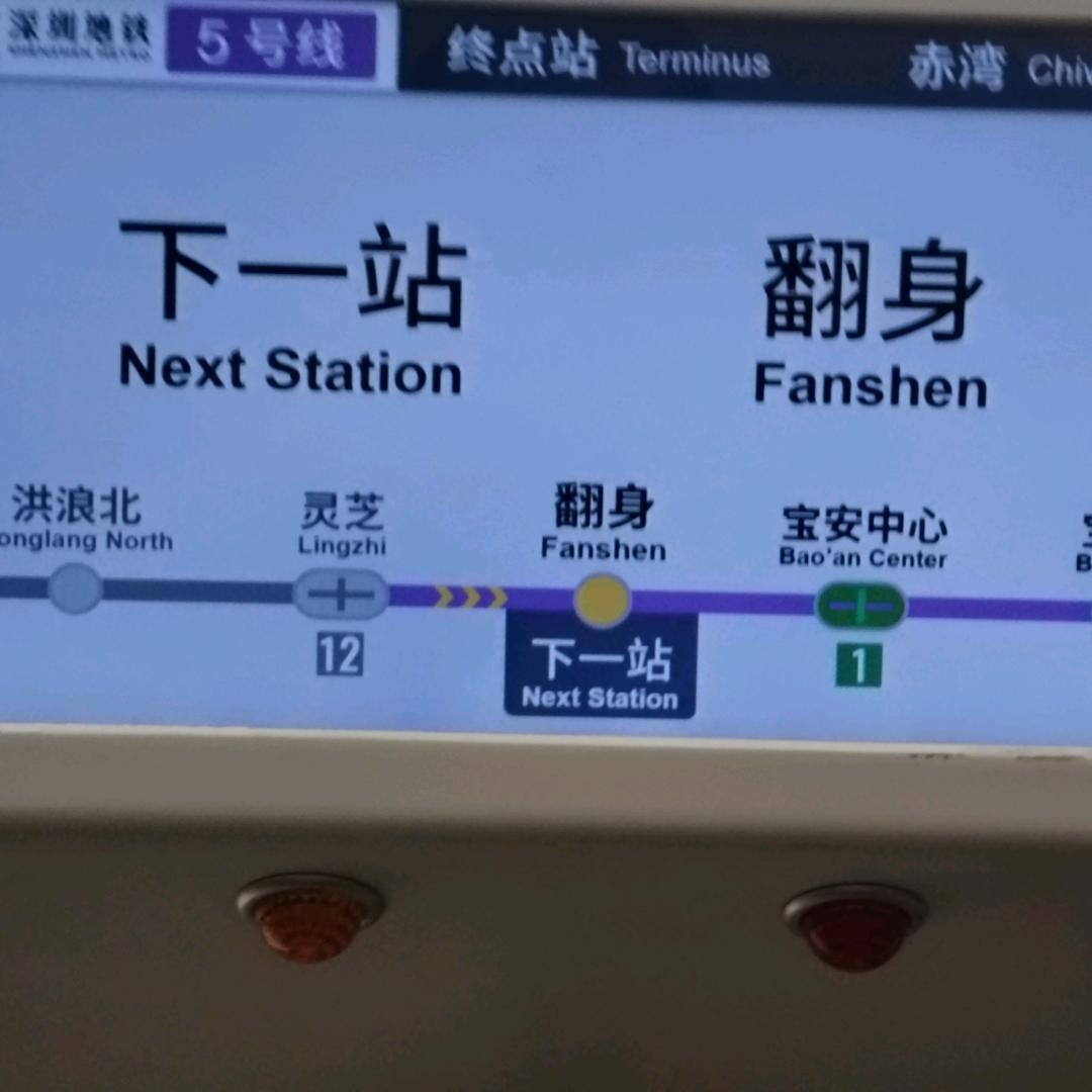 金州YZ