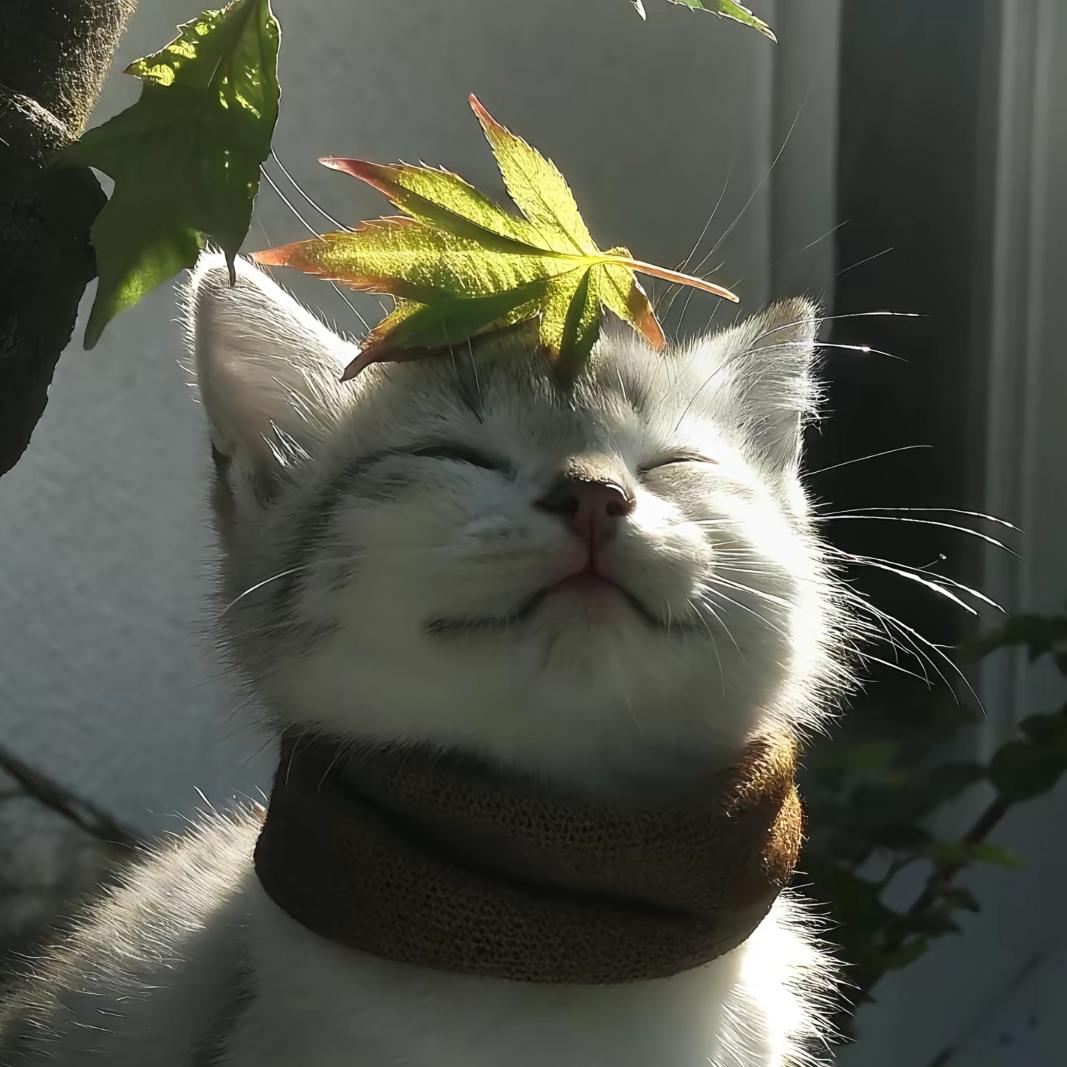 意气用事爆米花