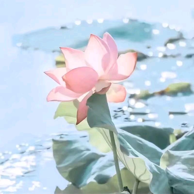 自己读懂自己