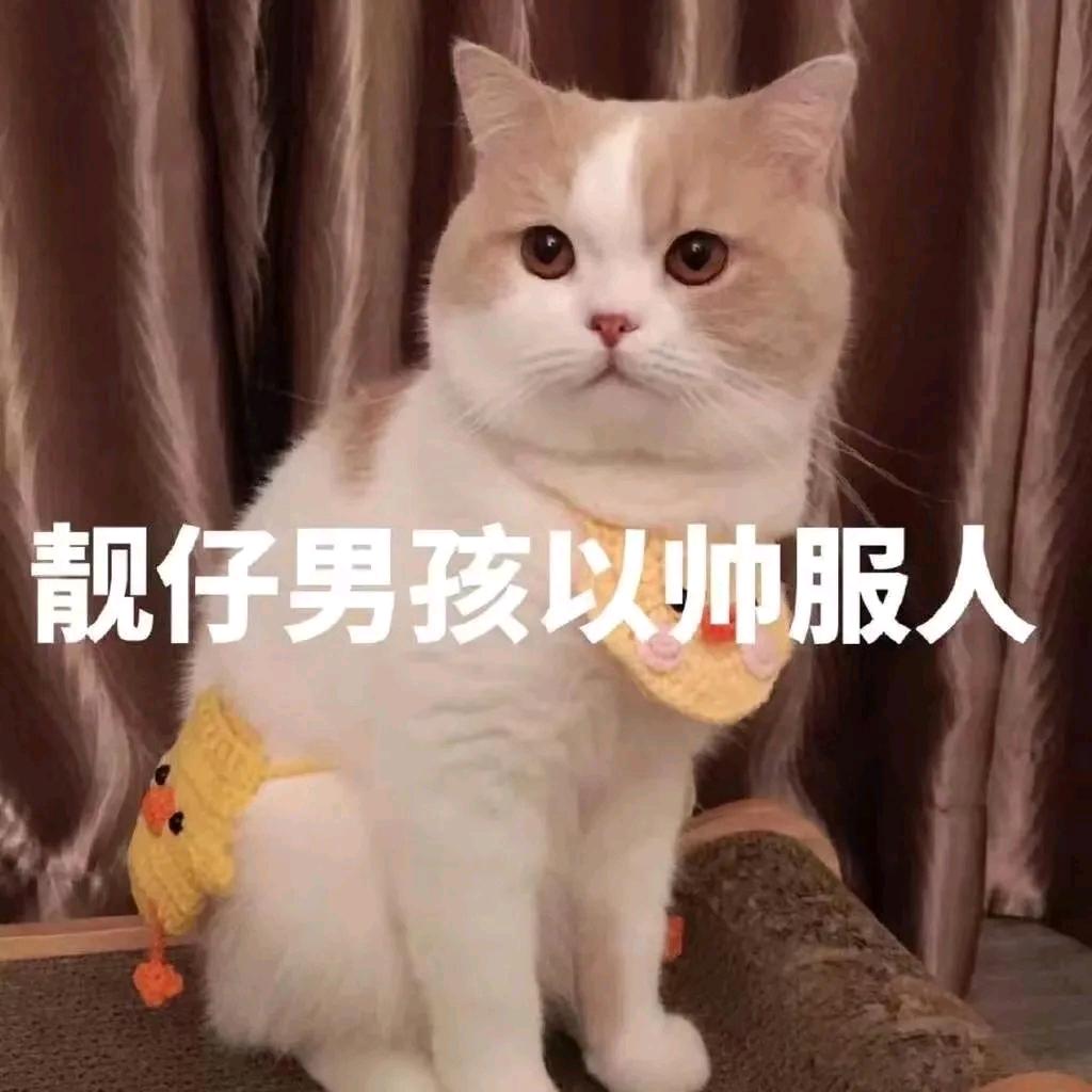 男儿膝下有小腿