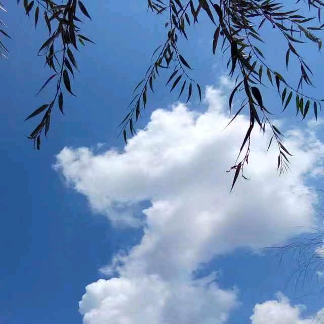 加油，一路上拼搏的自己