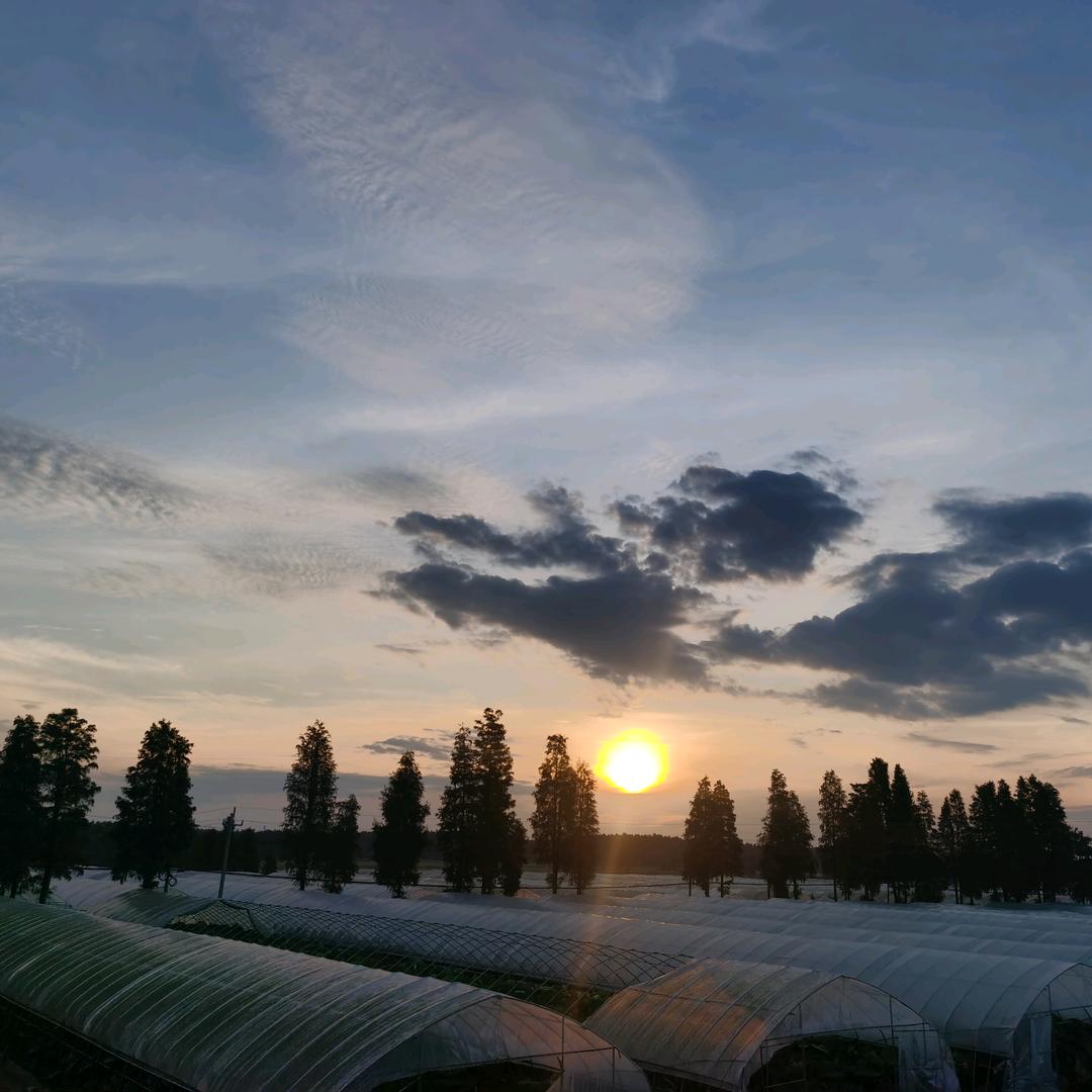 @  陳大山^^山外山