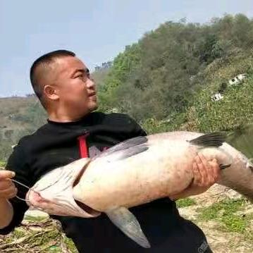 野钓江湖