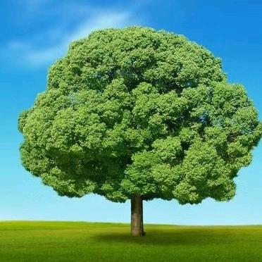 微微带你逛河池