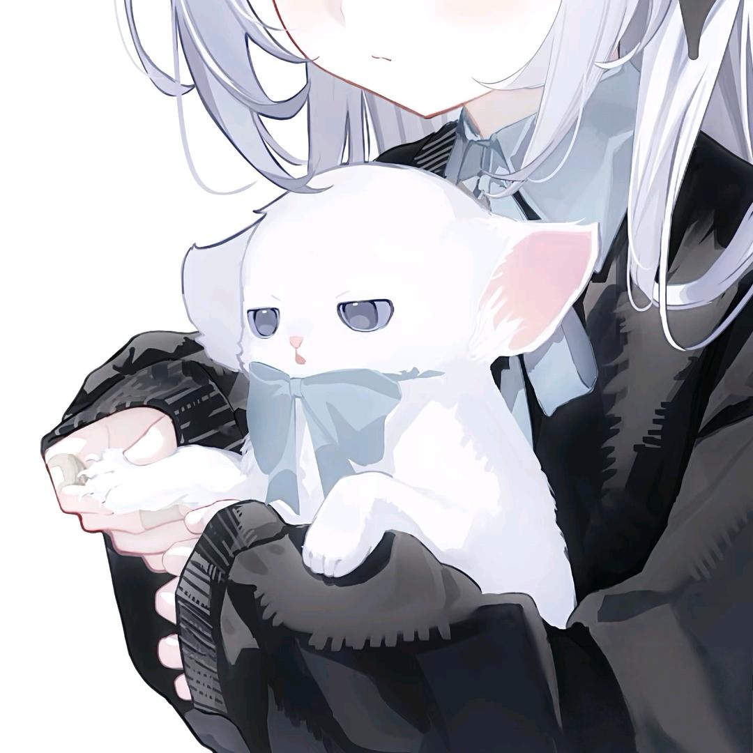 小胡桐:D