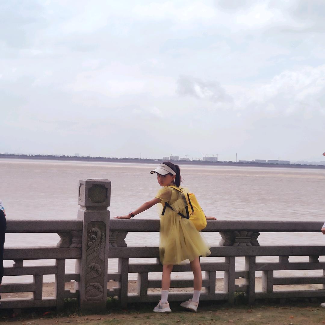 🌈大陶