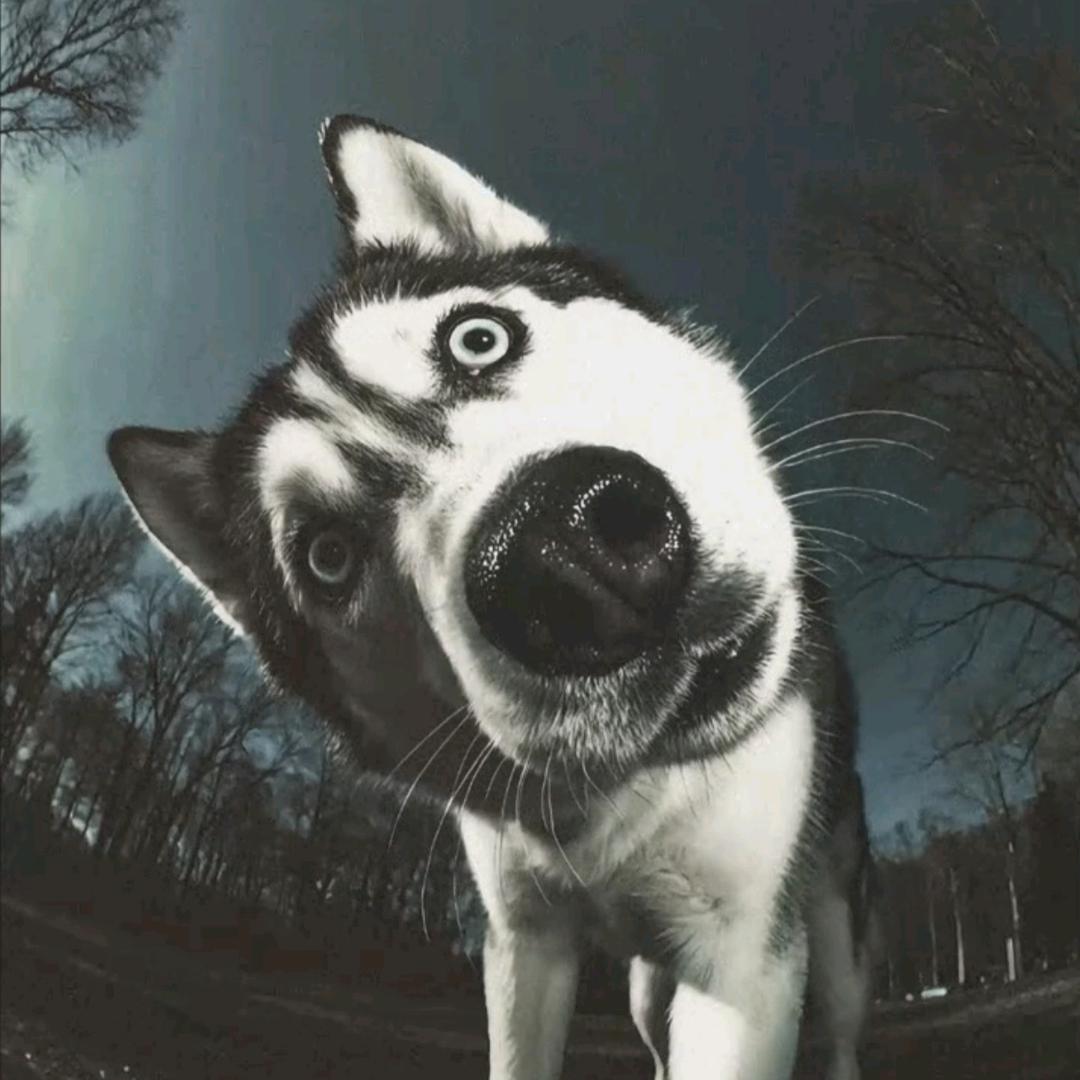 南墙