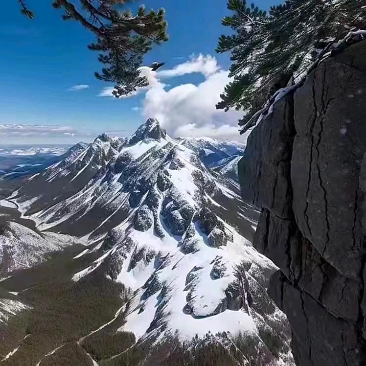 "啊姐"🍃"蓚""皁`·