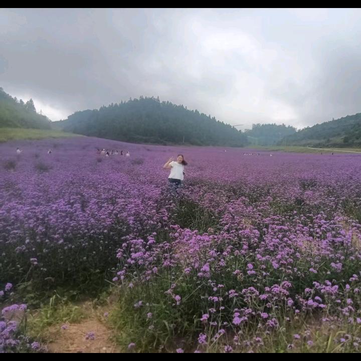 好好爱自己吧，拒绝私聊