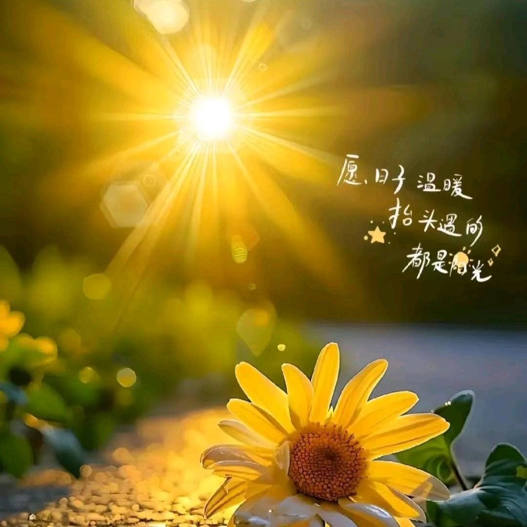 ✨开心🎤💫