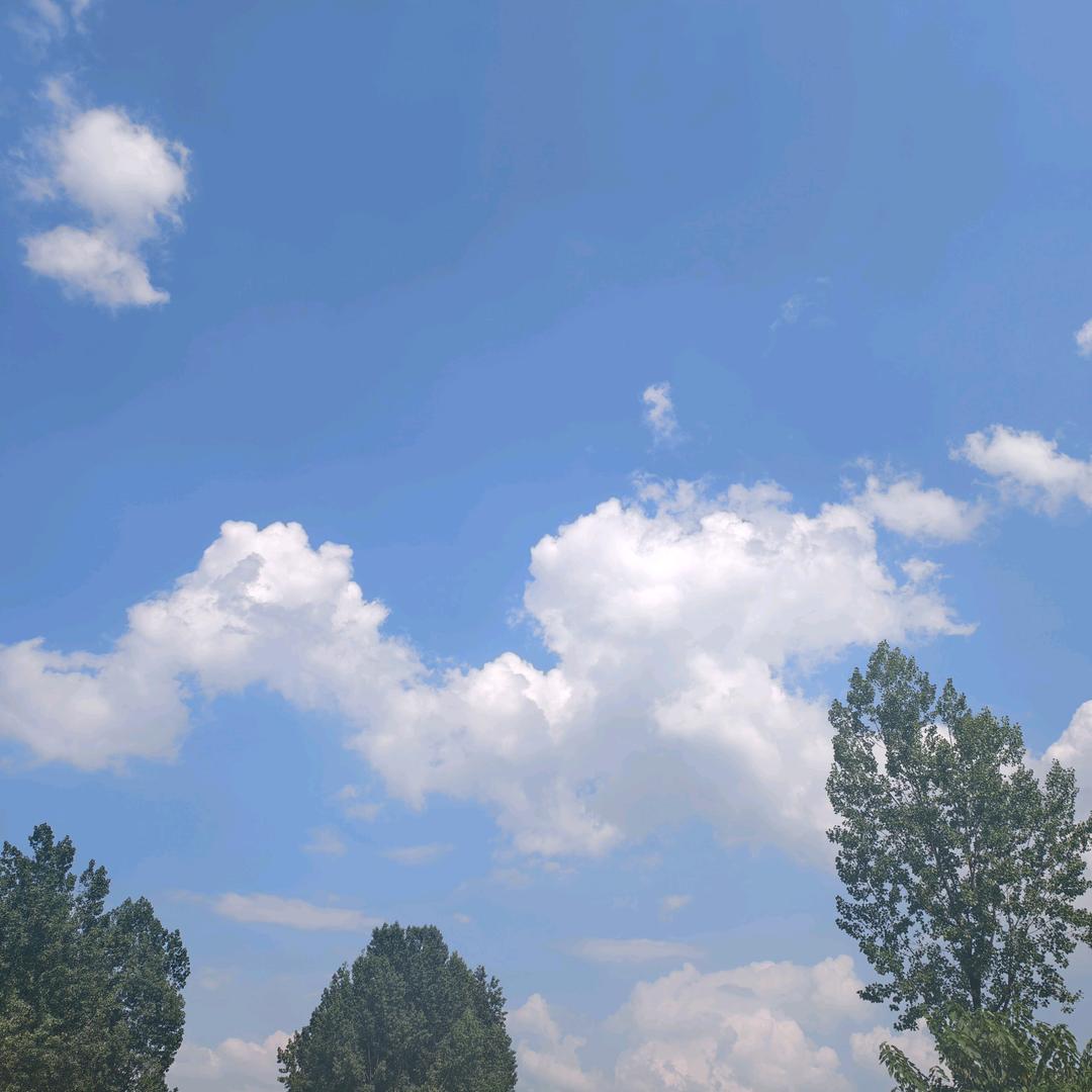 门口非让打领带