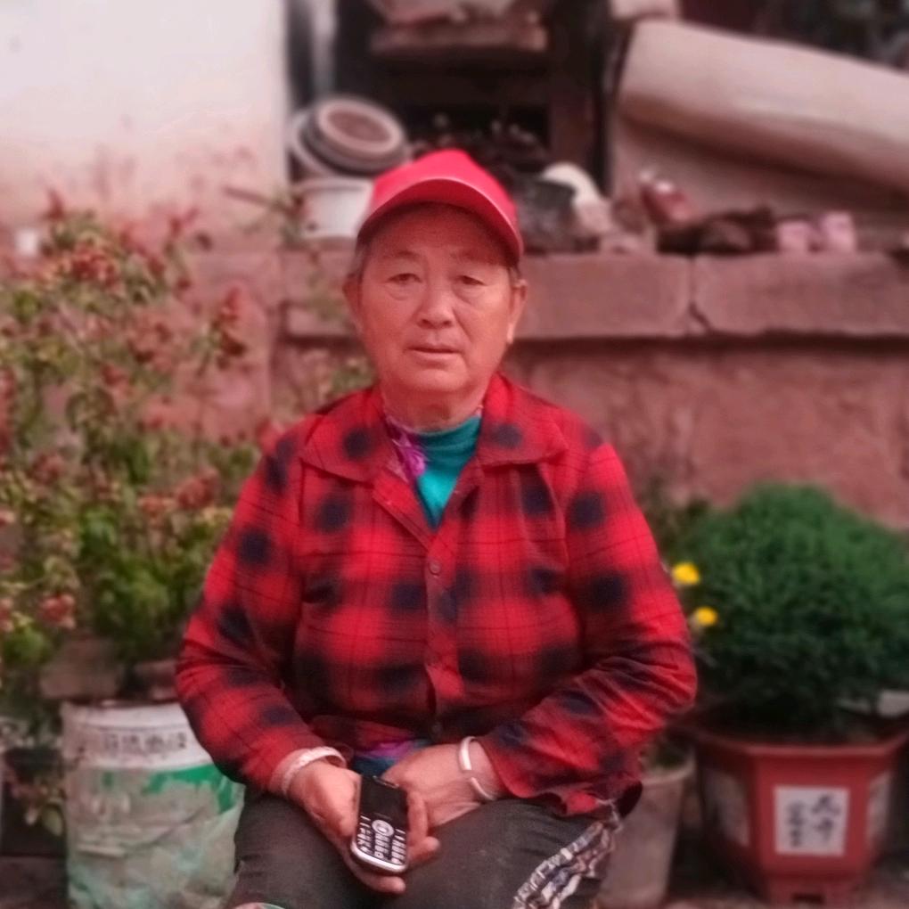 四季平安