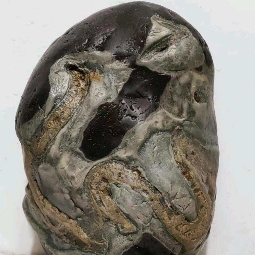 影子虾