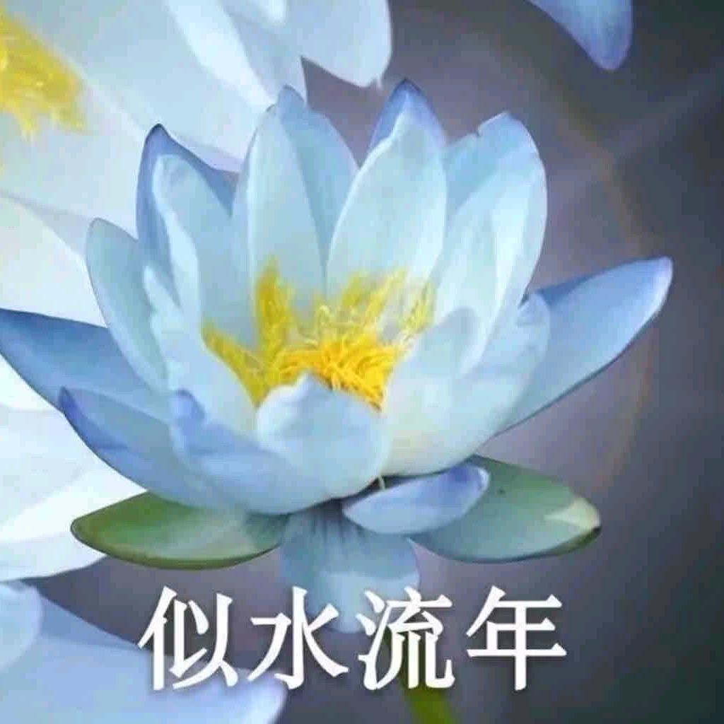 嘿哈