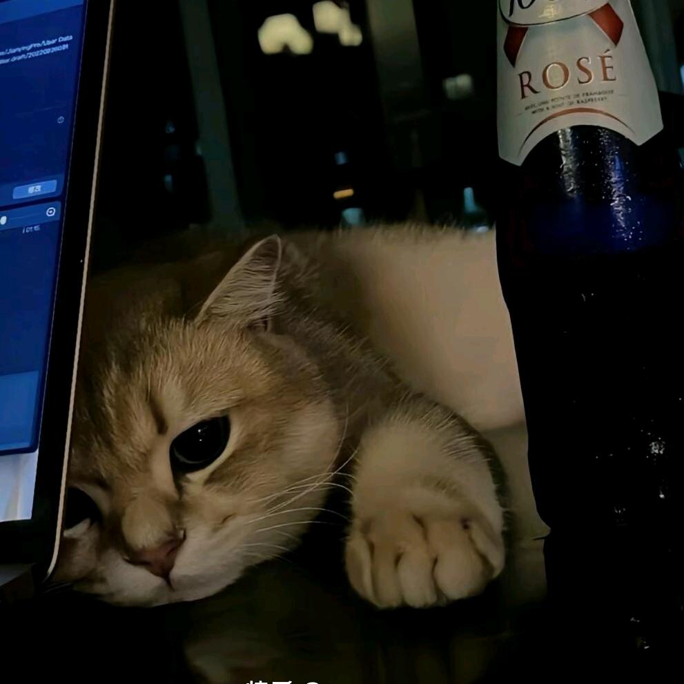 猫酒