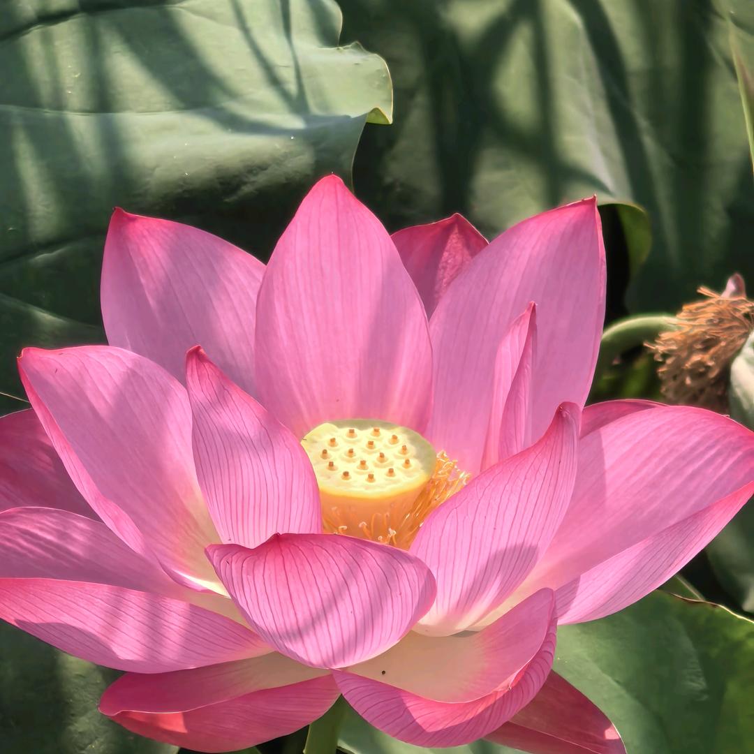 爱每一天