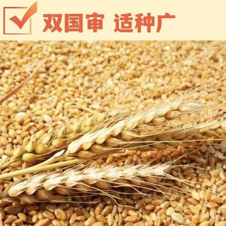 农沃汇鲜哥