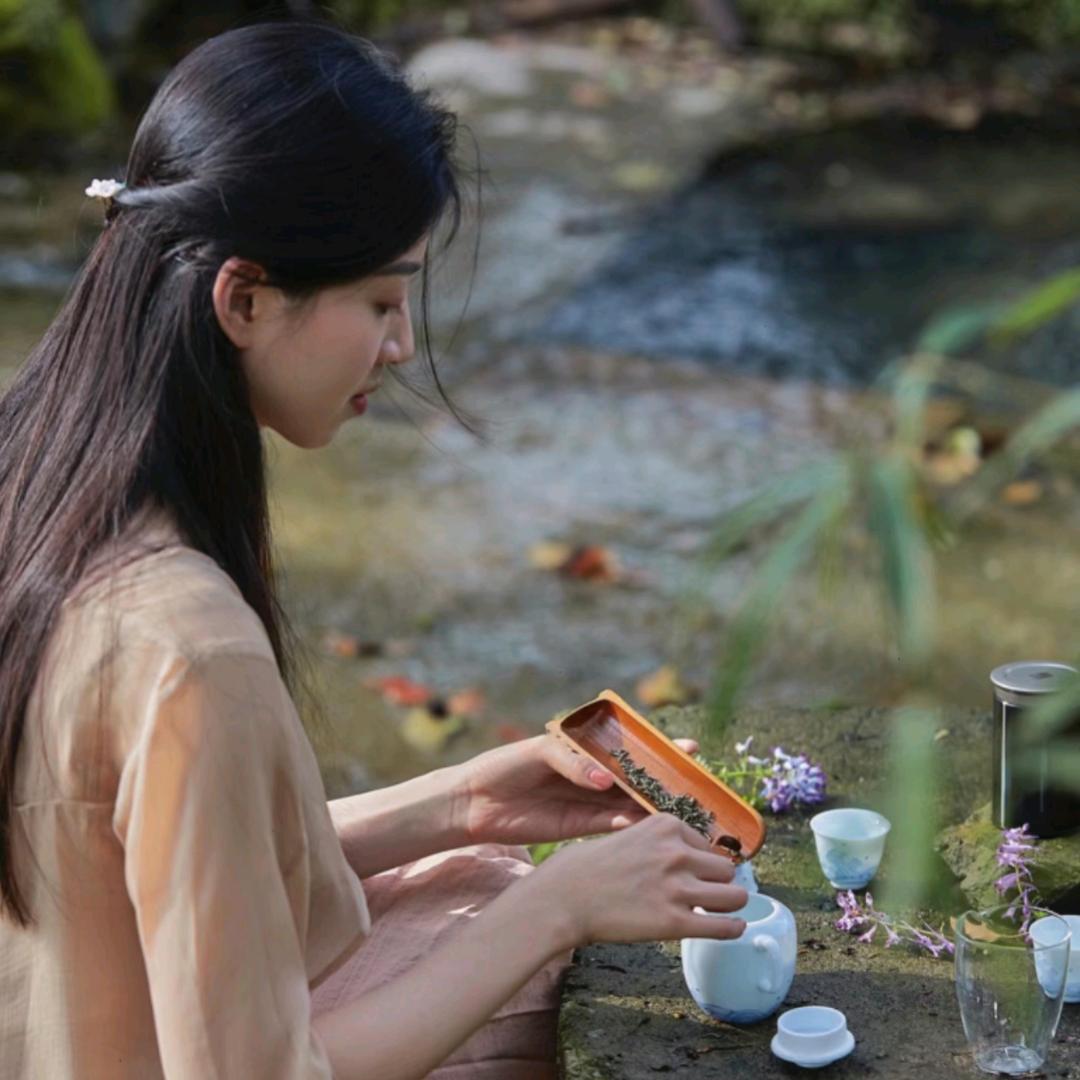 美丽品茶