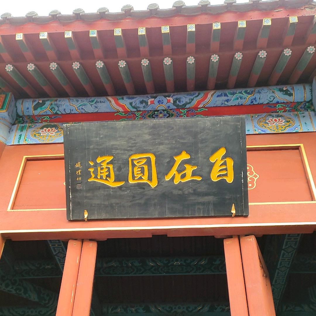 ^O^. 酷 飒 无死角⊙▽⊙