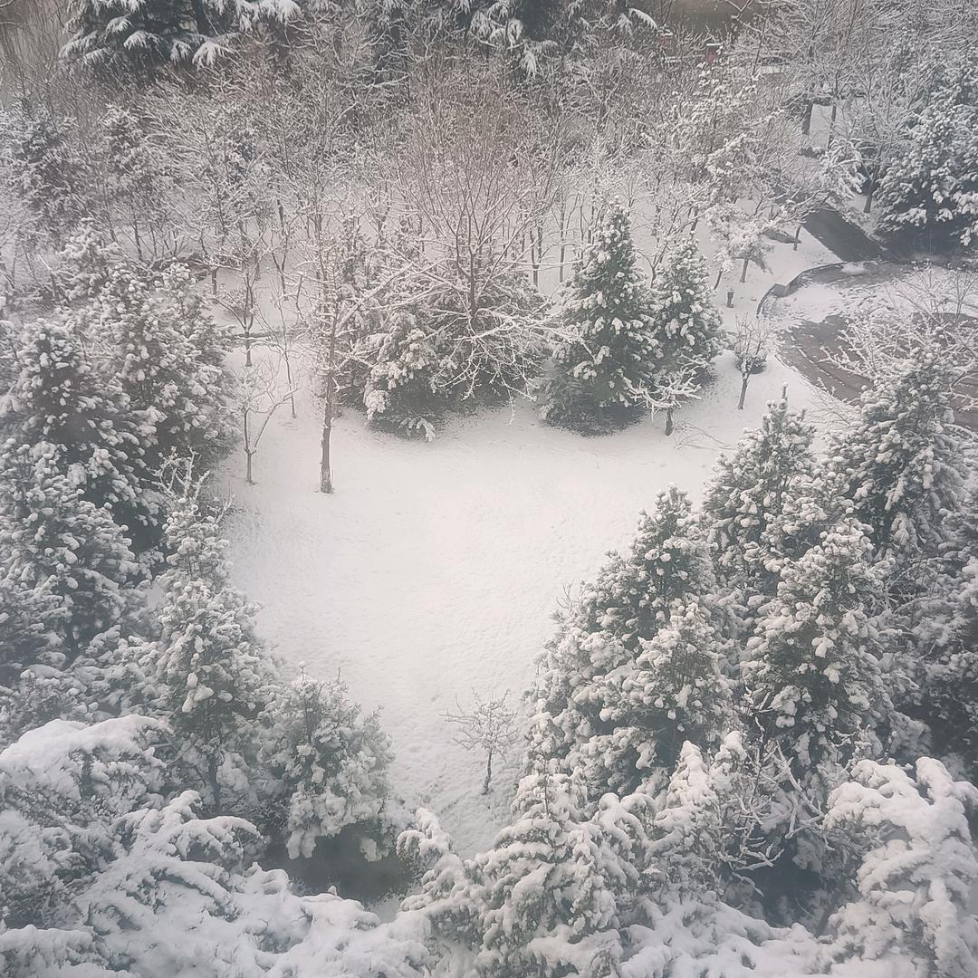 夏天的雪