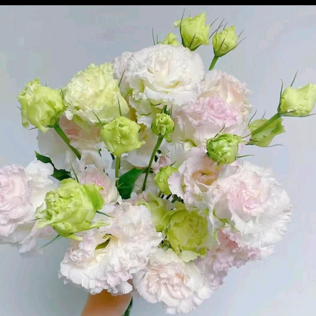 易花鲜花