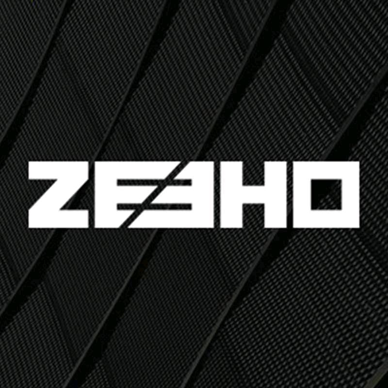 ZEEHO极核电动(泰州姜堰人民中路店)