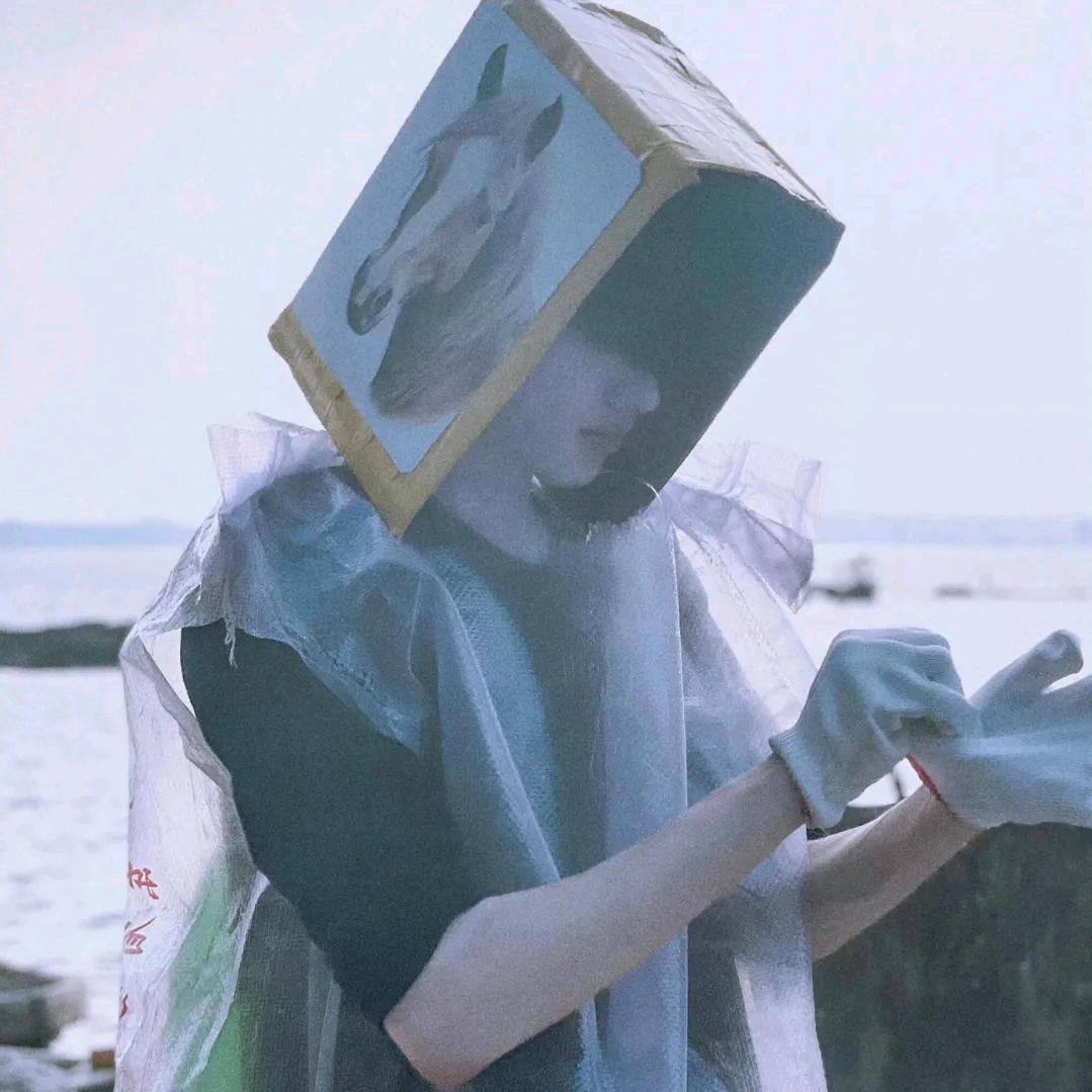 狼的鱼仔.