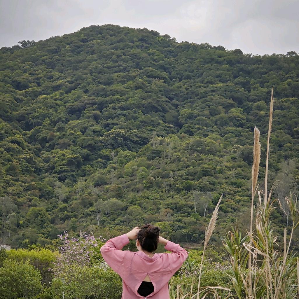 疯丫头🍄