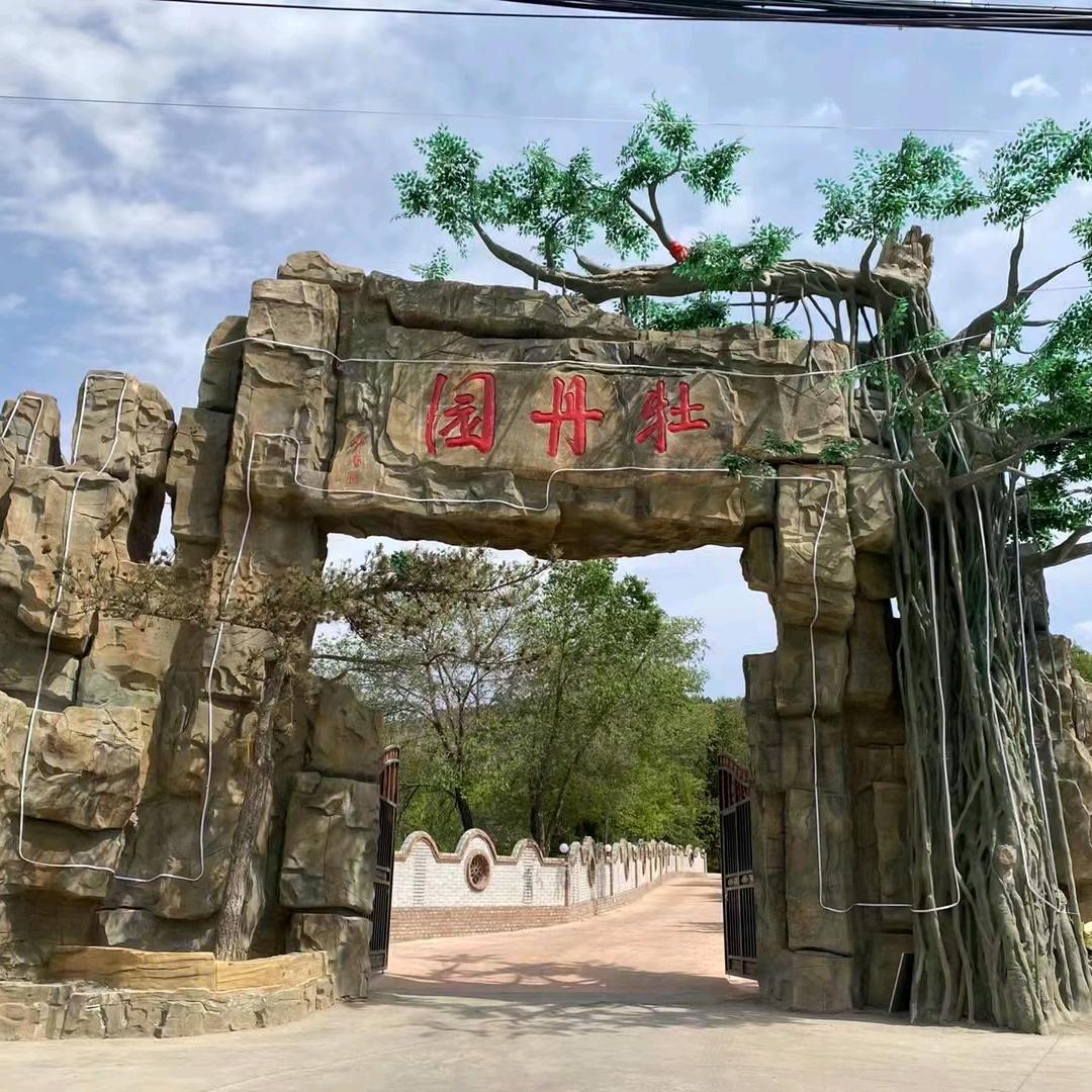 做柴火鸡的尕嫂子