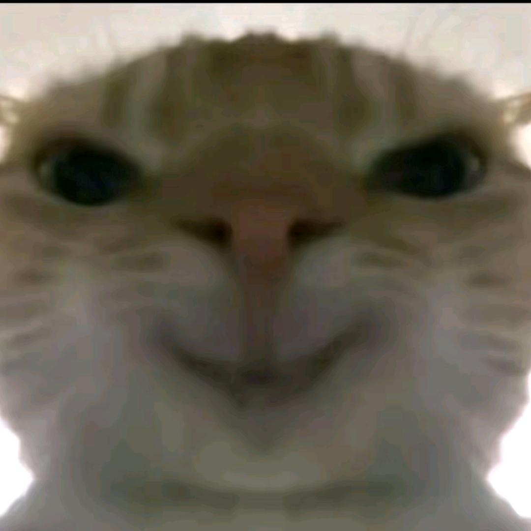 鼠鼠