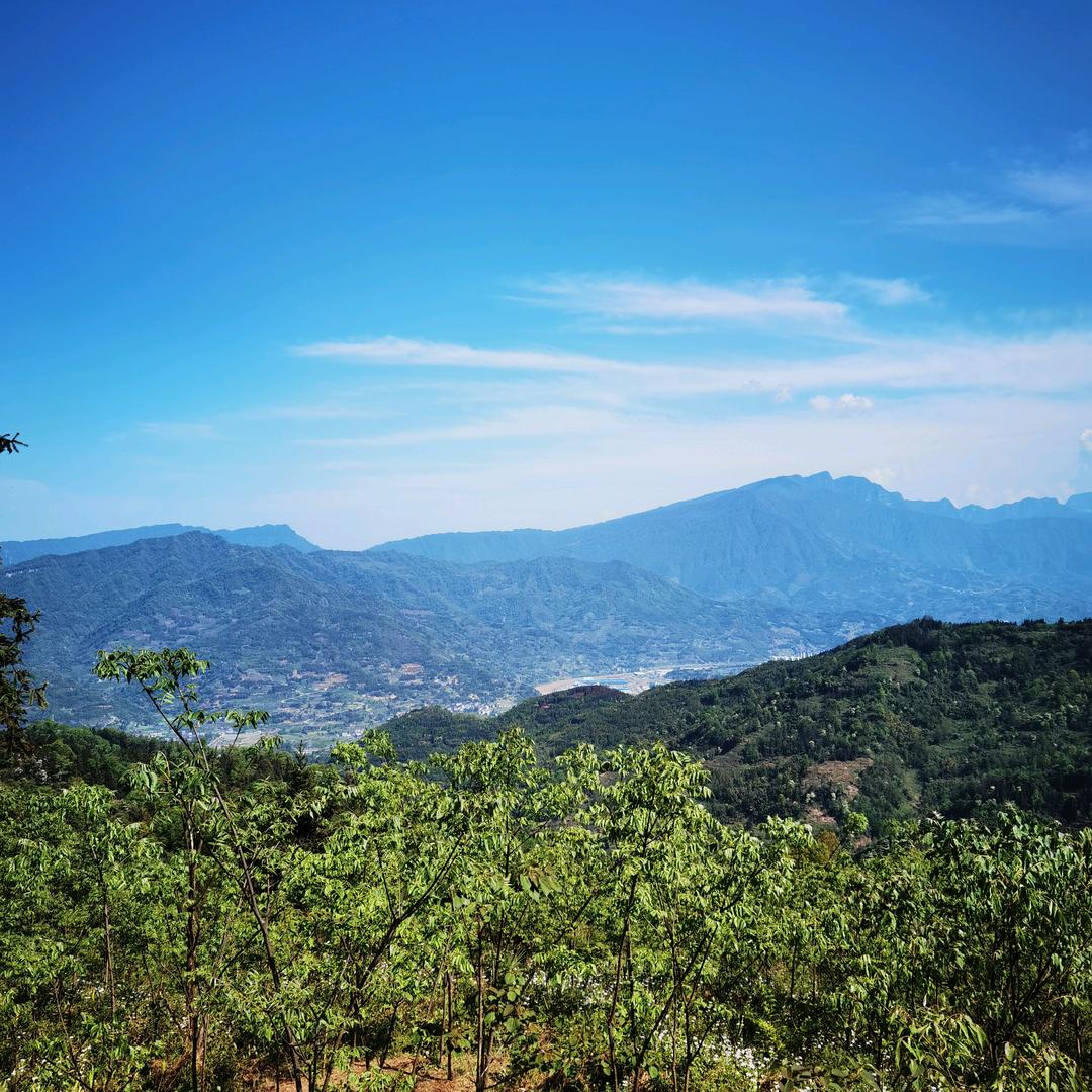 一指流沙，大山深处，老爹农场