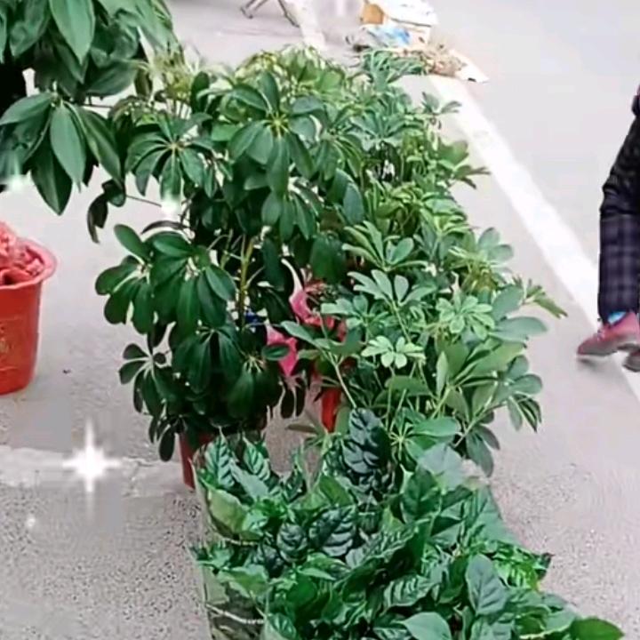 雨过天青