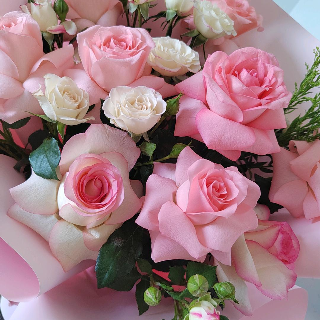 ᭄平安💞喜乐᭄