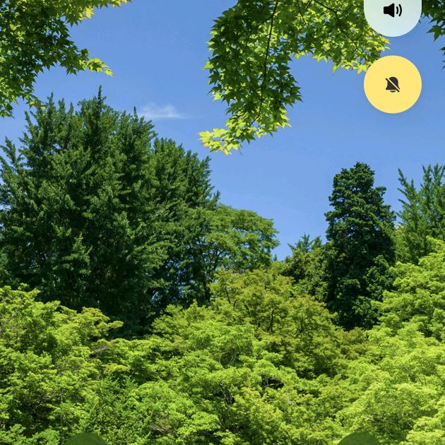 缘分天空