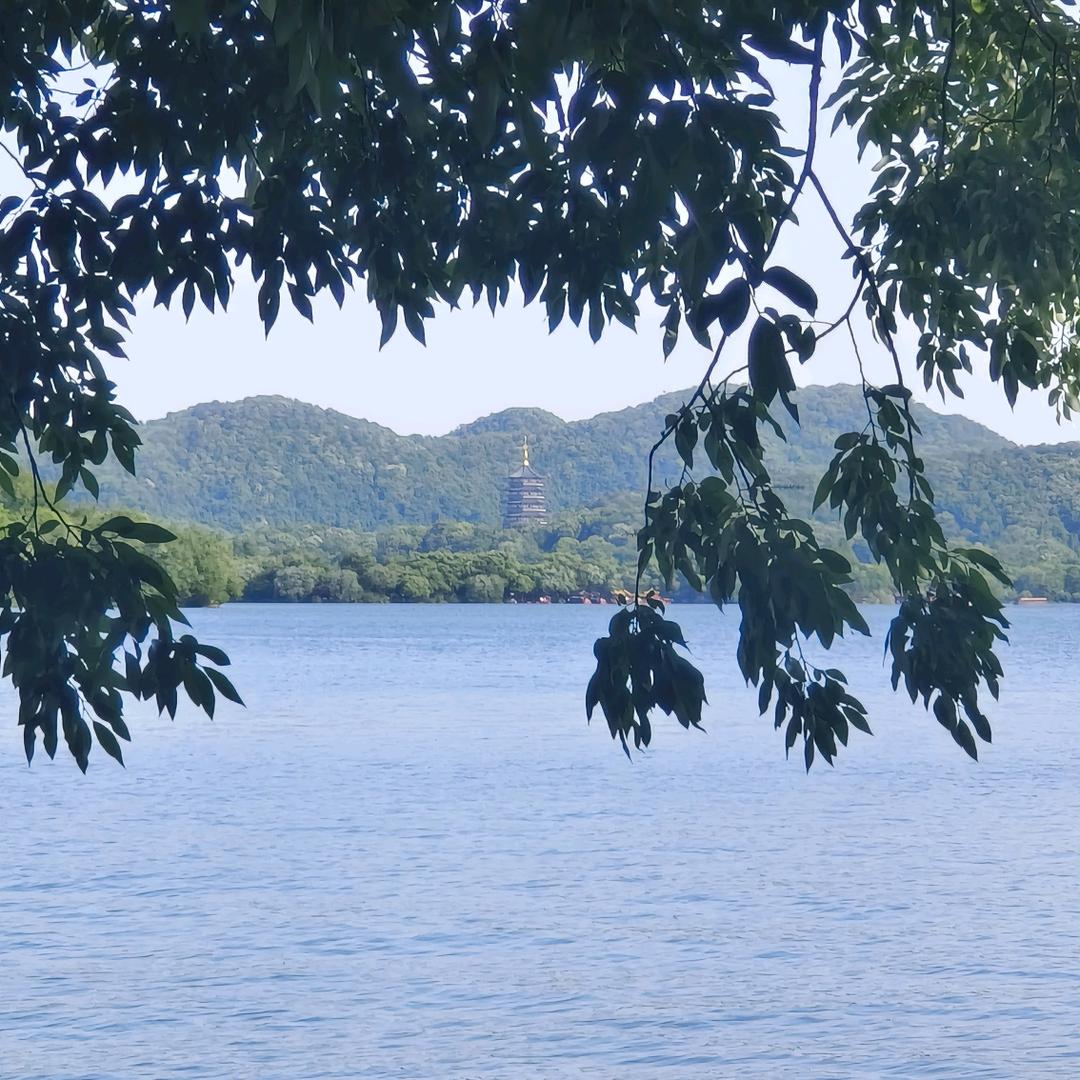 伪装