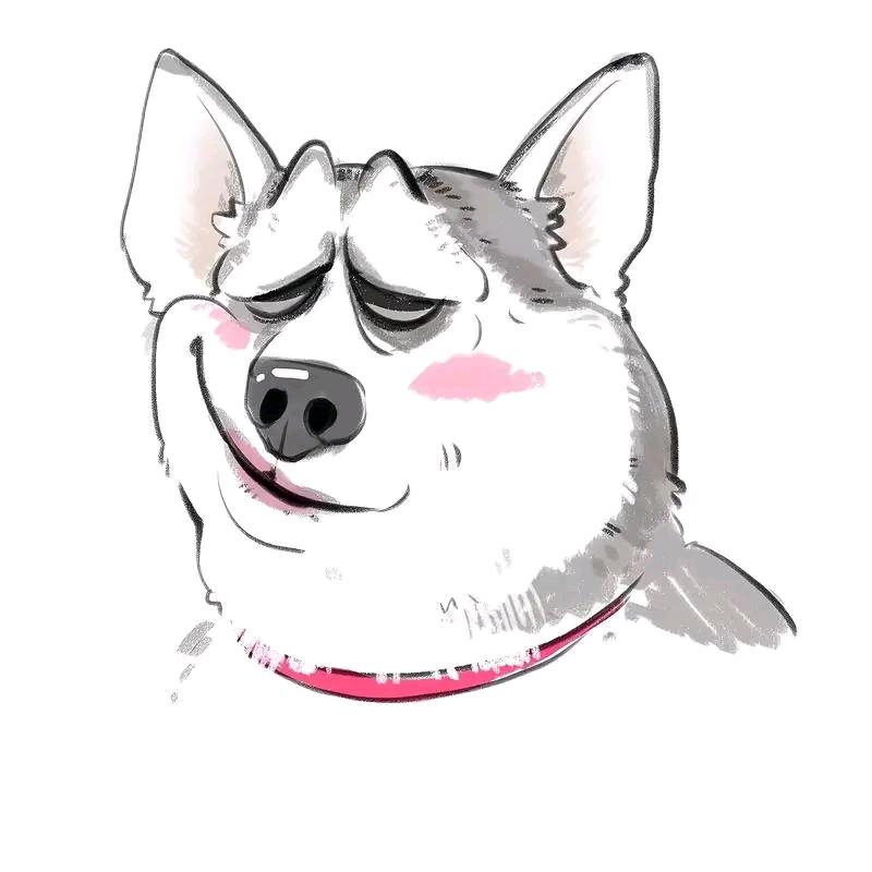 无关风月