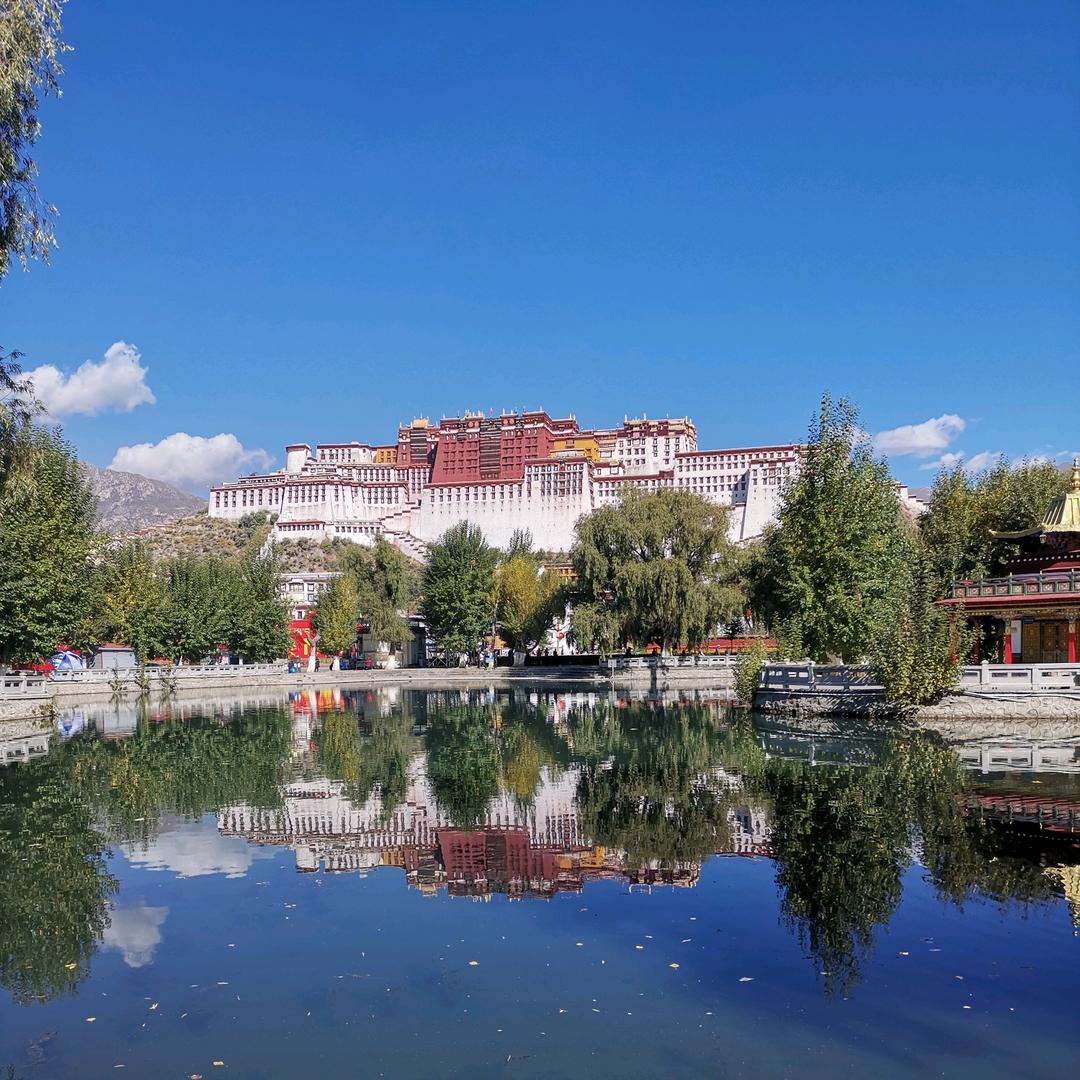 王者荣耀（小飞机）