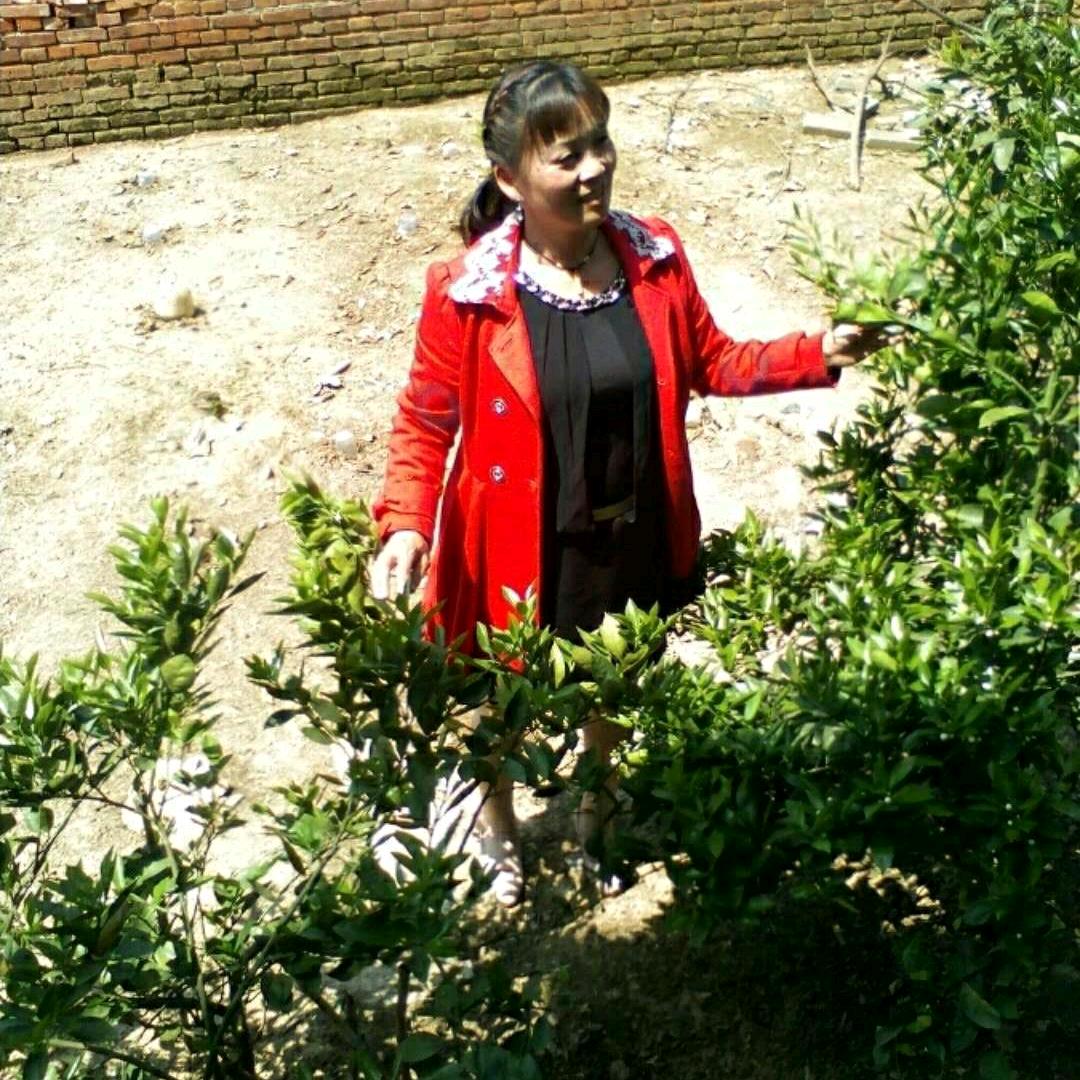 孙花