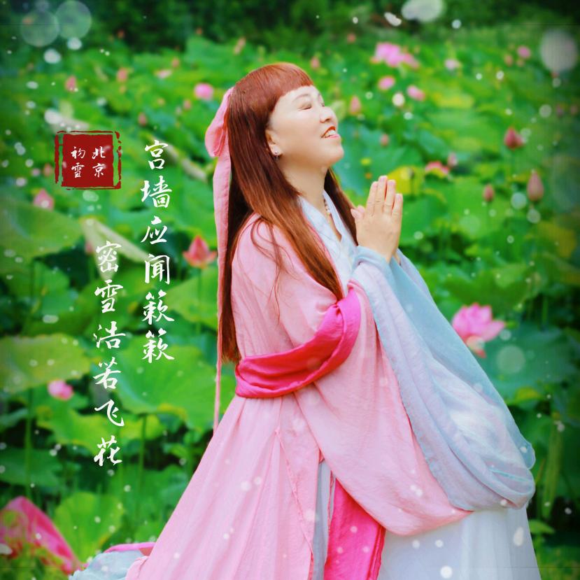 美姐爱摄影