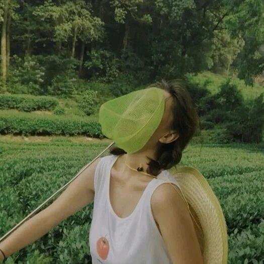 别龙马
