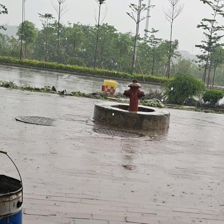 想你