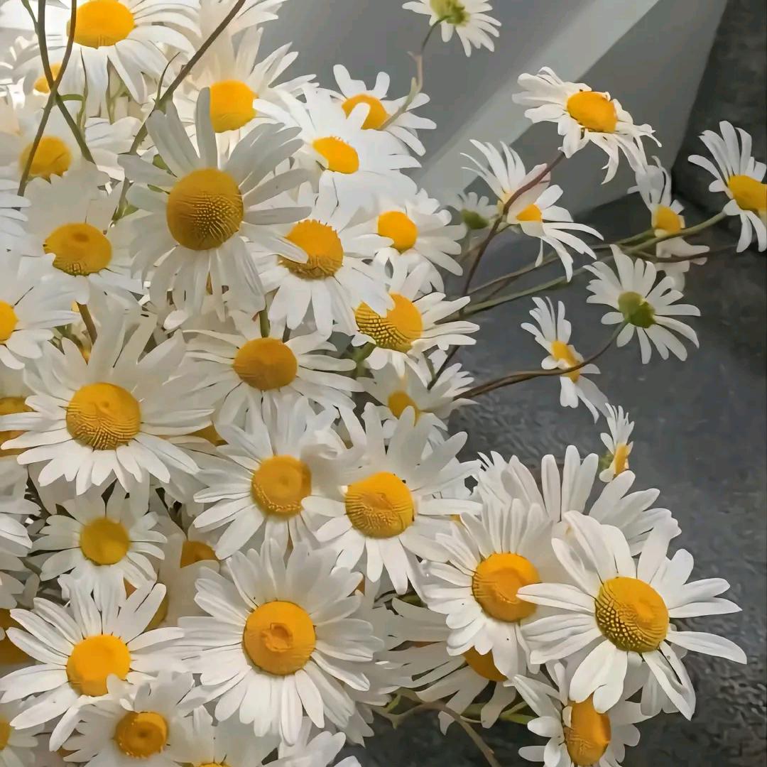 伤心人👩‍❤️‍👩👩‍❤