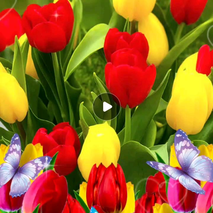 近朱者赤，近你者甜