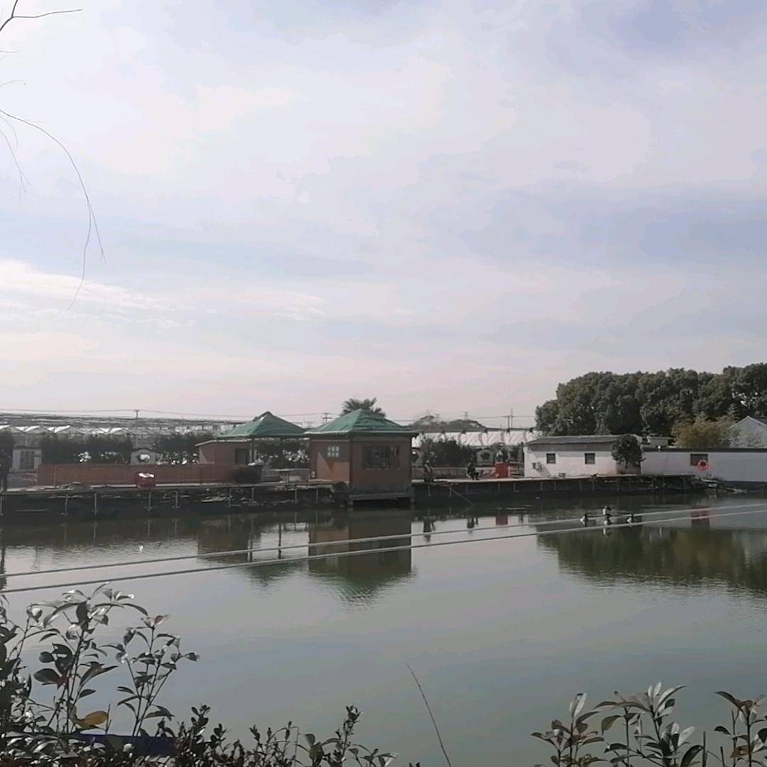 上海景泉顺钓场