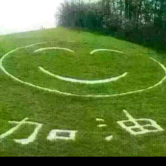 新泉