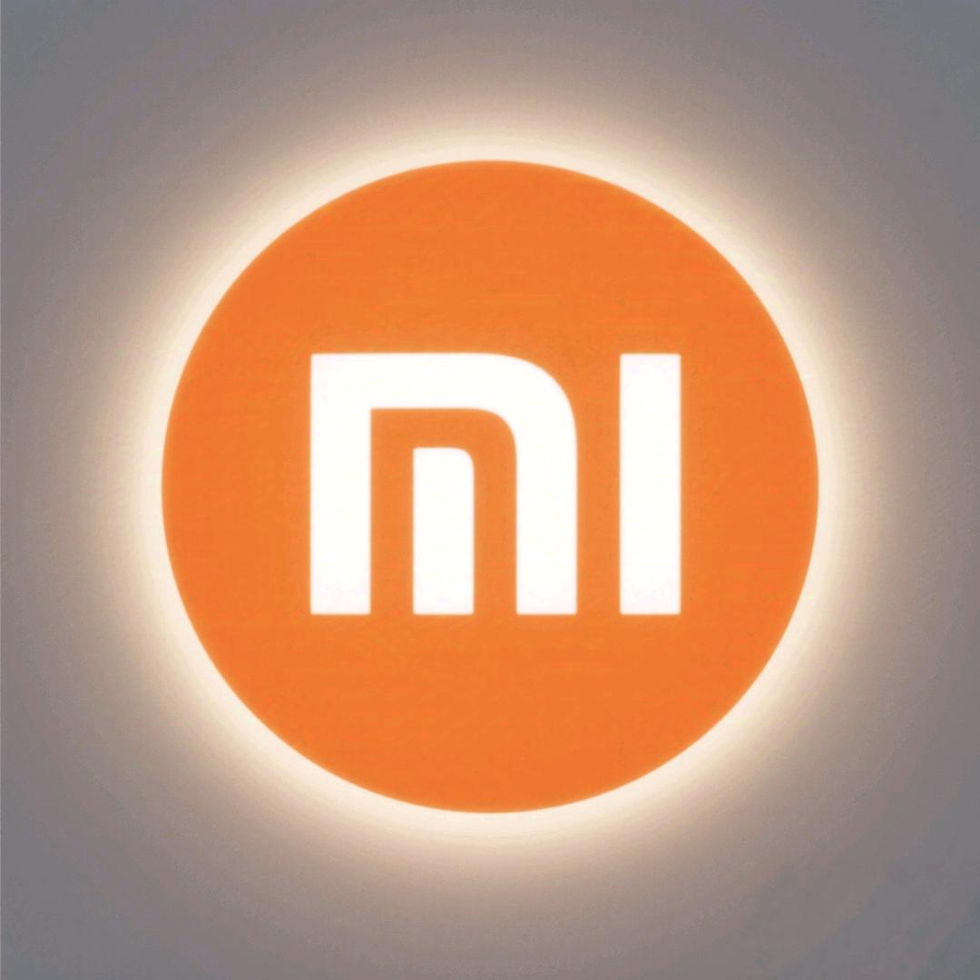 狮山龙湖小米之家