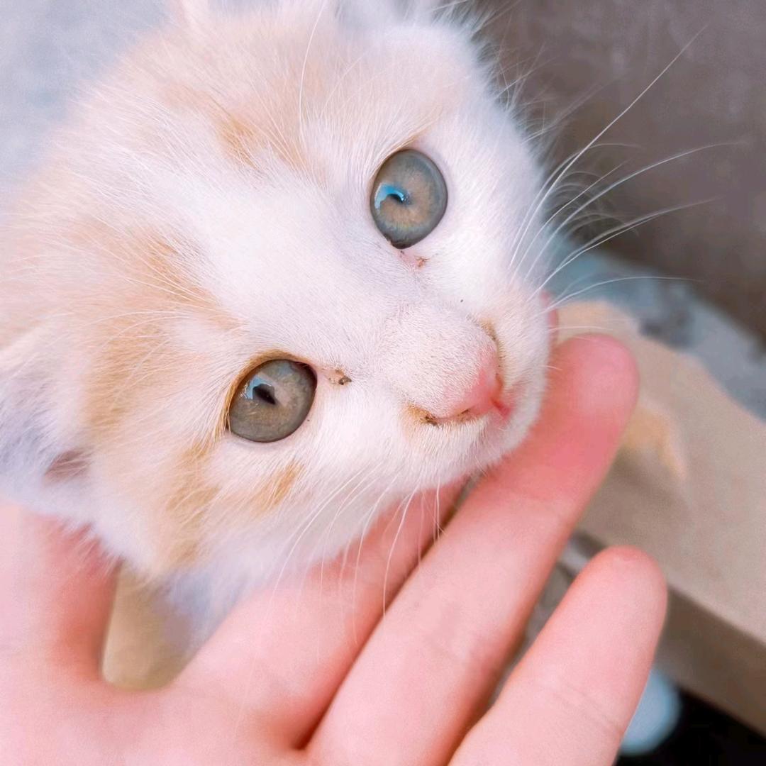 就要开心——拒绝私聊