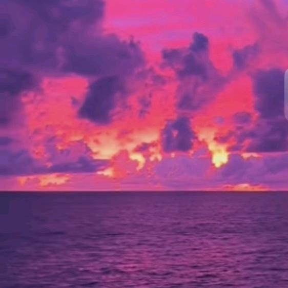 嘻嘻嘻（｡ò ∀ ó｡）