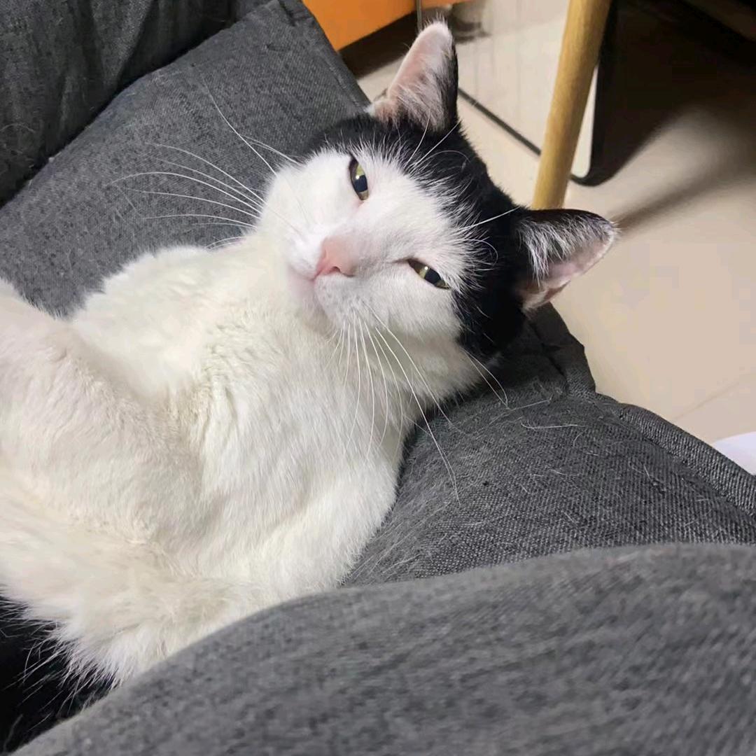 美孟成真