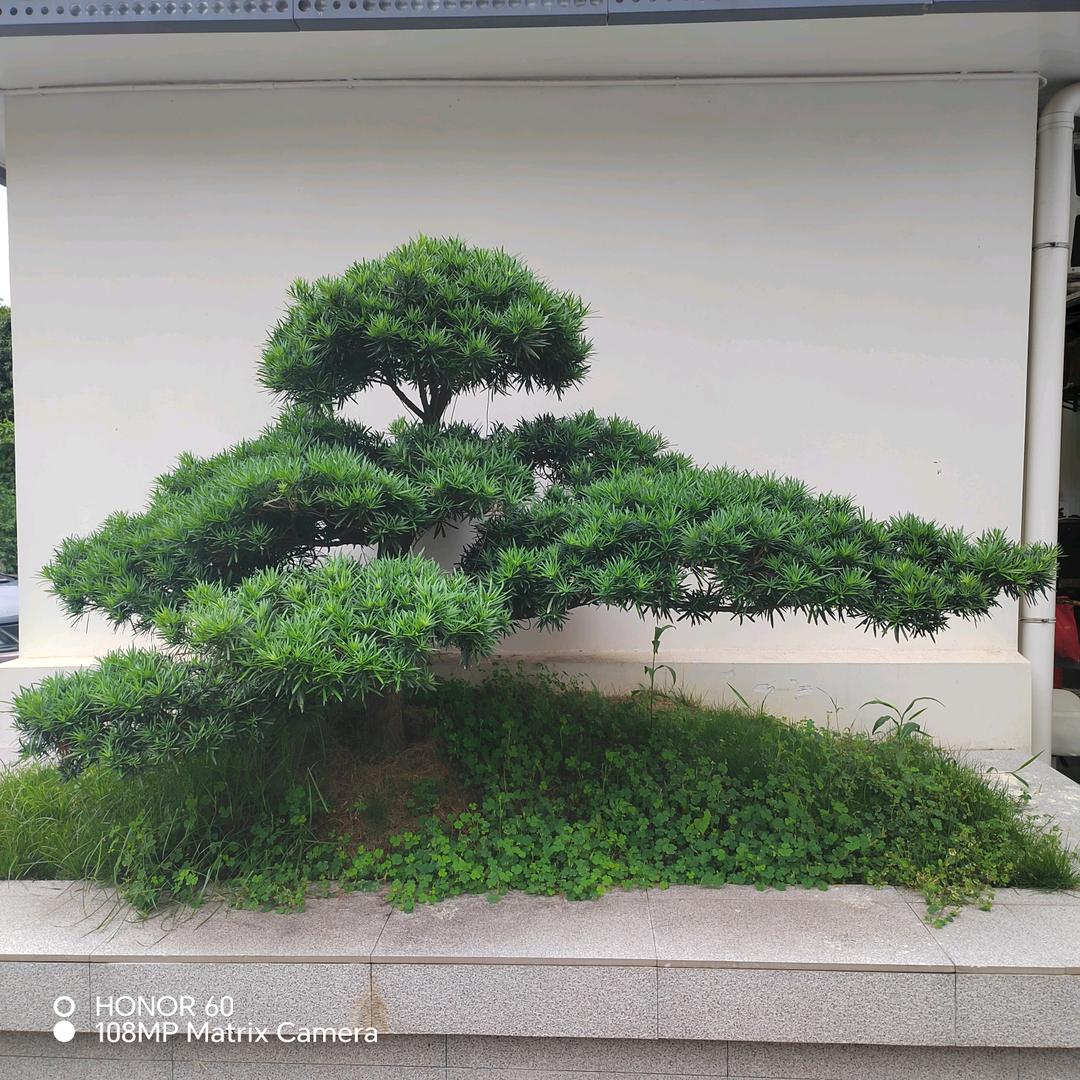 乘风破浪